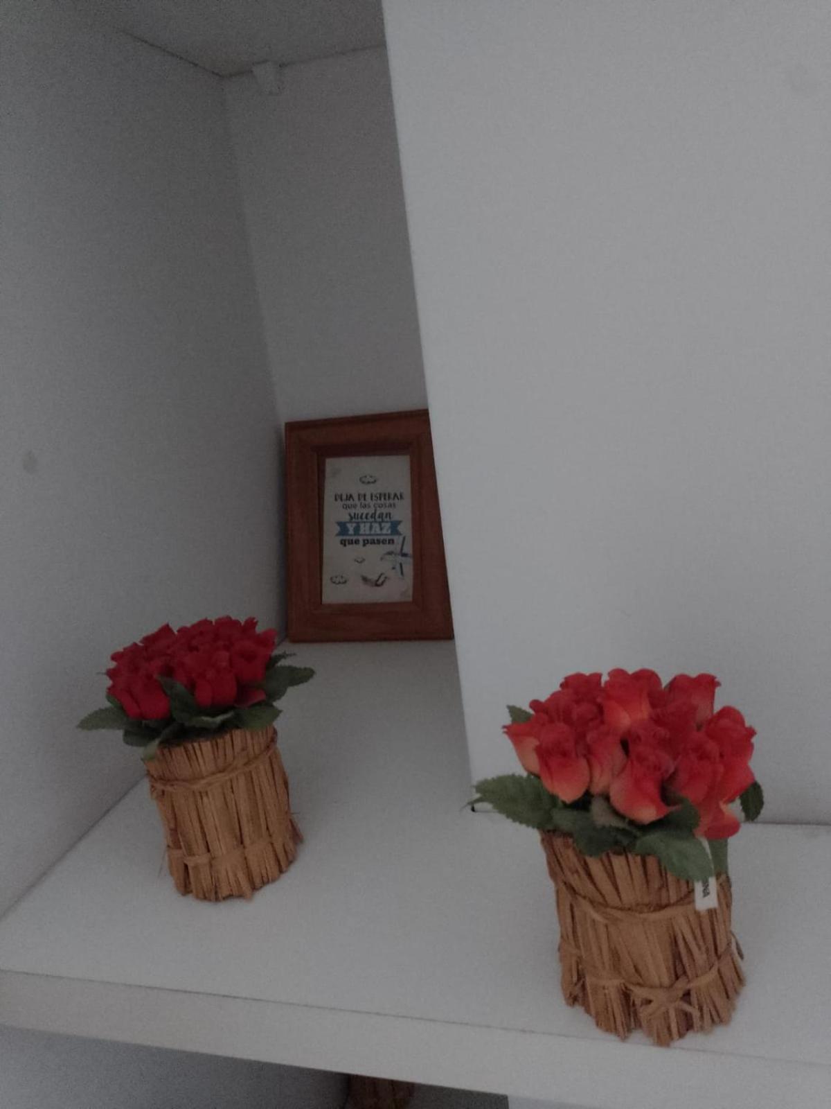 Relax En Palermo Con Gran Balcon Y Wifi 300Mb Διαμέρισμα Μπουένος Άιρες Εξωτερικό φωτογραφία